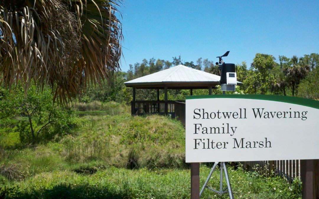 Conservancy Filter Marsh