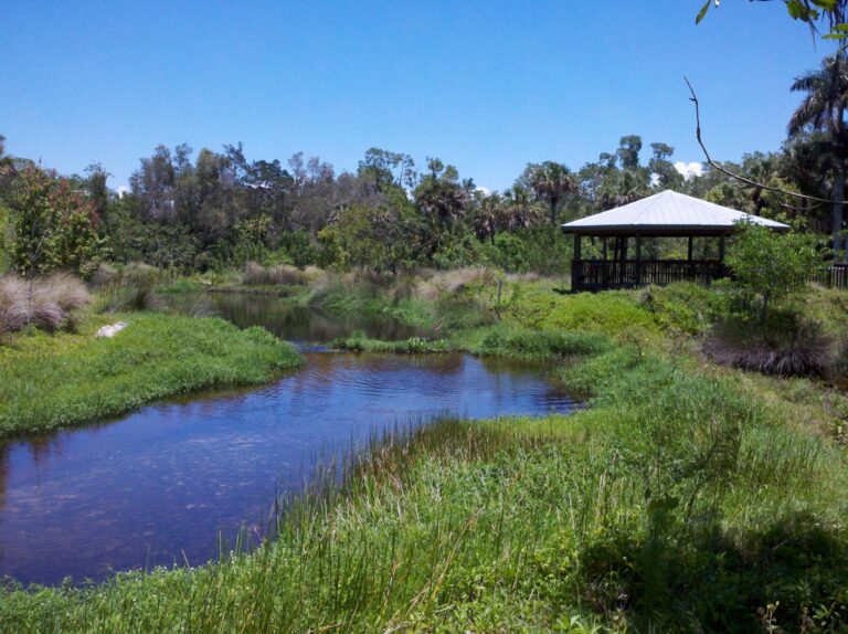 Conservancy of Southwest Florida