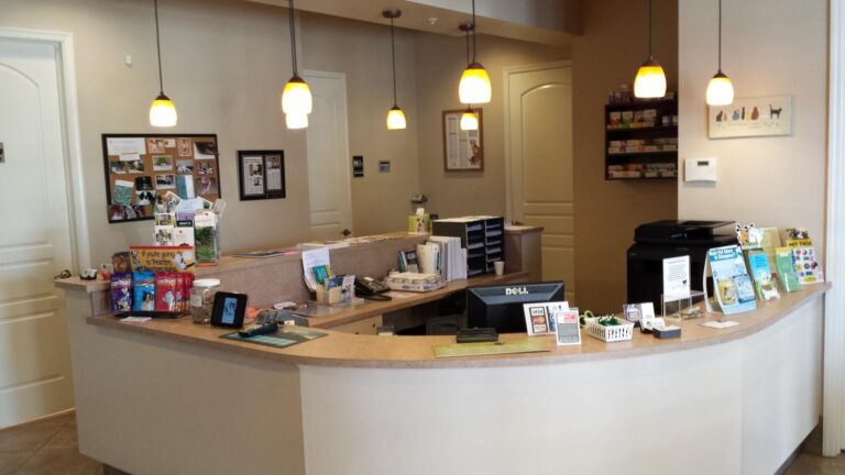 Sabal Palm Animal Clinic