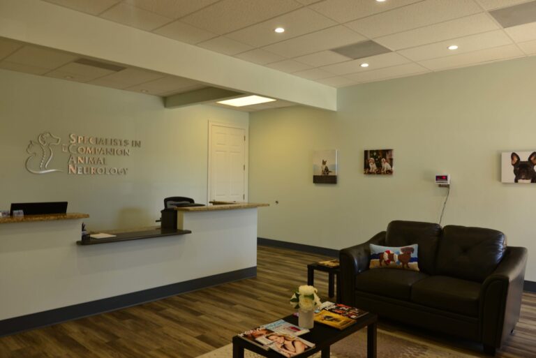 SCAN – Specialists in Companion Animal Neurology